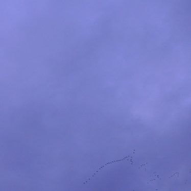 “Mein Herz ist bei dir. Halt es wert.” (von Goethe)