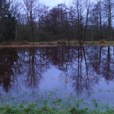 “Das Leben muss im Fluss erfasst werden. Wer es aufhält, um es zu untersuchen, tötet es.” (Daisetz Teitaro Suzuki, Dichter und  Übersetzer, 1870-1966)