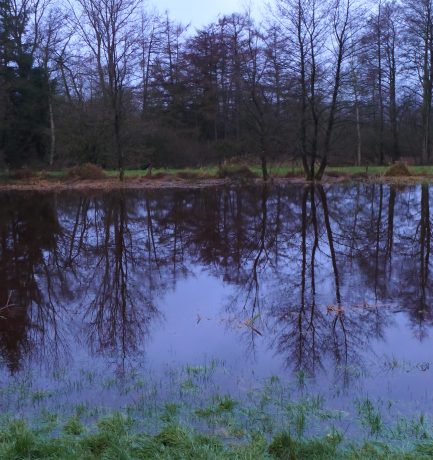 “Das Leben muss im Fluss erfasst werden. Wer es aufhält, um es zu untersuchen, tötet es.” (Daisetz Teitaro Suzuki, Dichter und  Übersetzer, 1870-1966)
