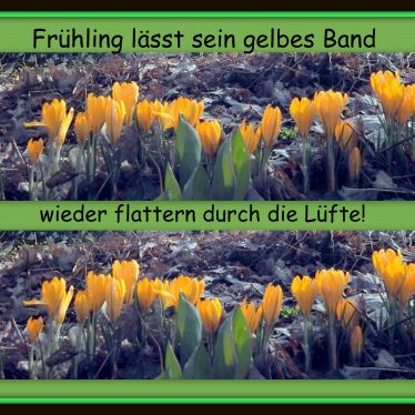 “Welch Glück geliebt zu werden! Und lieben, Götter, welch ein Glück!” (Johann Wolfgang von Goethe, 1749 – 1852, einer der bedeutendsten Schöpfer deutschsprachiger Dichtung)