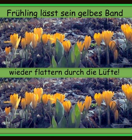 “Welch Glück geliebt zu werden! Und lieben, Götter, welch ein Glück!” (Johann Wolfgang von Goethe, 1749 – 1852, einer der bedeutendsten Schöpfer deutschsprachiger Dichtung)
