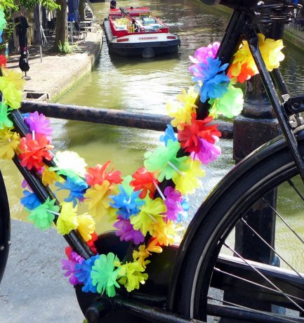 “Das Leben ist wie Fahrrad fahren. Um die  Balance zu halten,  musst du in Bewegung bleiben!” (Albert Einstein, 1879 – 1955, einer der bedeutendsten theoretischen Physiker der Wissenschaftsgeschichte)