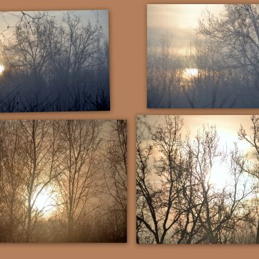 Carpe diem. Nutze den Tag!  (Horaz, 65 v. Chr. – 8 v. Chr.)