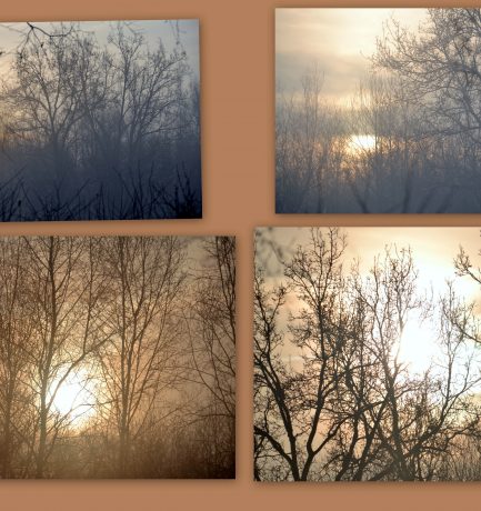 Carpe diem. Nutze den Tag!  (Horaz, 65 v. Chr. – 8 v. Chr.)