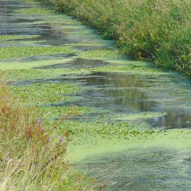 Leben ist wie ein Fluss. Darum unser Wasser nie am Fließen hindern!