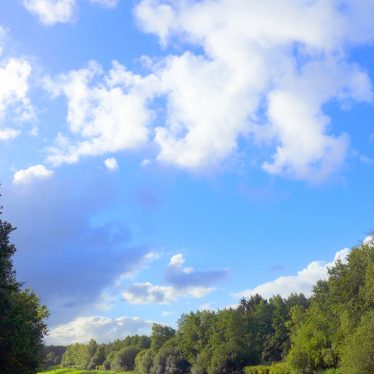 Wer zwischen Wolken nach Regenbogen oder Vögeln sucht, verpasst Grün!
