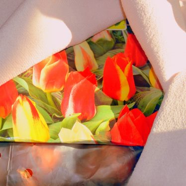 Pinktag = Mädchentag = Blumenzwiebeln setzen!