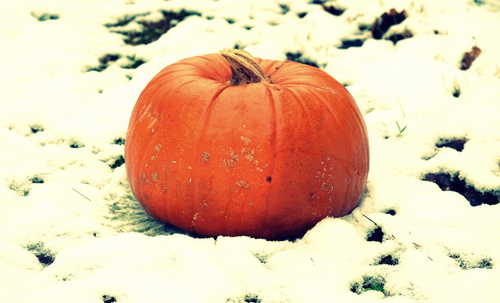 Zwischen Rot und Gelb liegt Orange. Ist Orange rund, liegt es auf Weiß