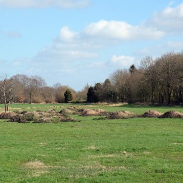 Nr. 2: Bauernlandschaft mit Sandhaufen und Bäumen