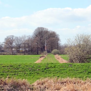 Nr. 1: Bauernlandschaft zwischen Gras und Bäumen