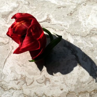 Der Anfang frei, das Ende frei. Schönheit dazwischen.