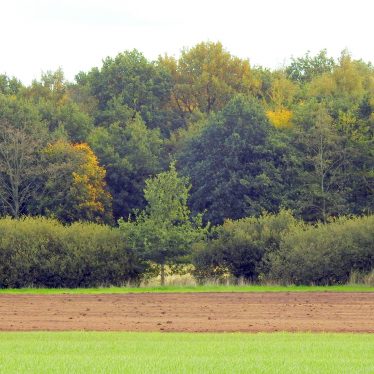 Nr. Null: Bauernlandschaft “Vorhang auf”