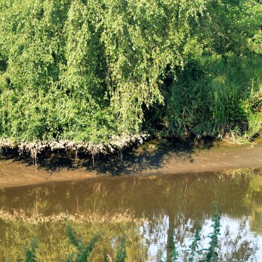 Die Natur irrt sich nicht!