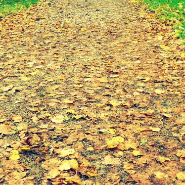 “Der Herbst ist immer unsere beste Zeit.”