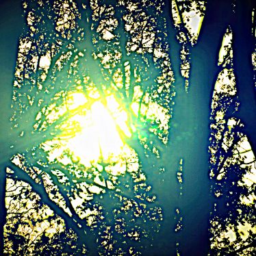 Es ist nicht not, dass man der Sonne mit Fackeln helfe.