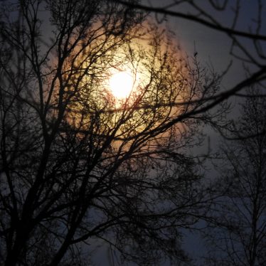 Jetzt lebt der Weihnachtsmond!