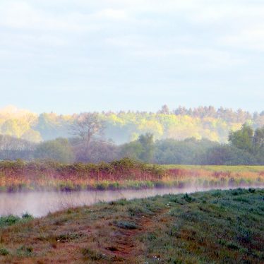 Schichtung in der Natur überlappt