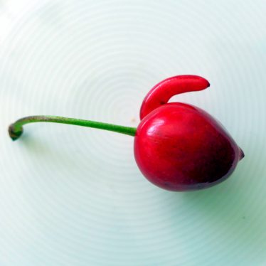 Die Laune ist eine Spielart der Natur. Rote kann man essen!