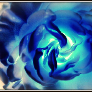 Many flowering islands lie / in the waters of wide agony …