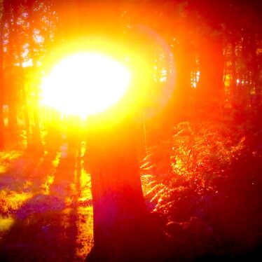 Sonne da – zu jeder Zeit – Sonne immer da!