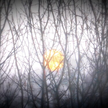 Sieht man den Mond, ist Sonne da!