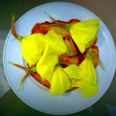 … und morgen gibt es den Salat …