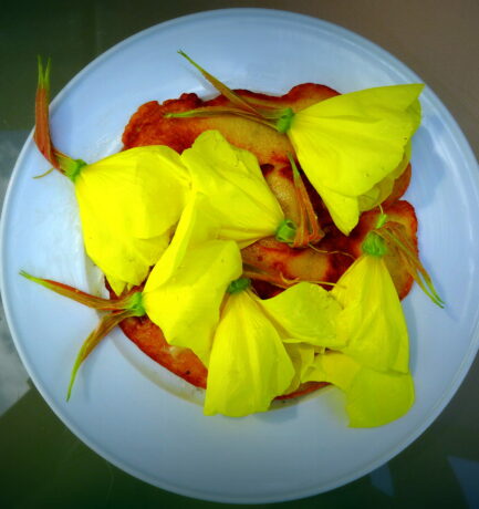 … und morgen gibt es den Salat …