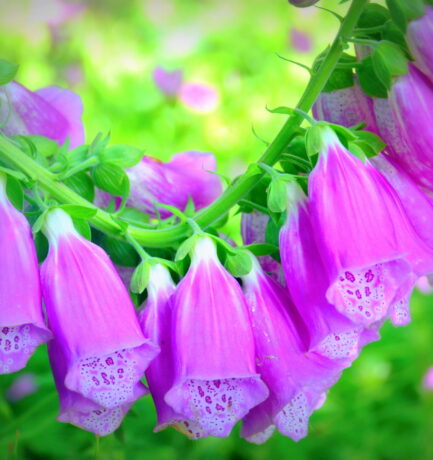 In every life we have some trouble. But when you worry you make it double. Don’t worry, be happy.
