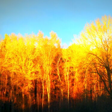 Keep your face always towards the sunshine – and shadows will fall behind you.