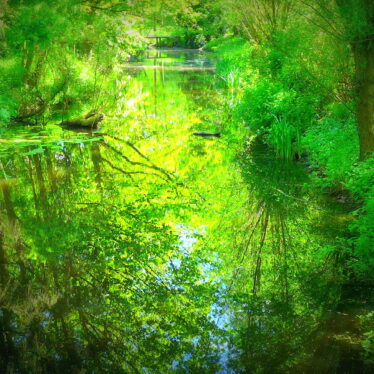 <strong>Undine   Oder   Tatenloses Warten im Wald</strong>