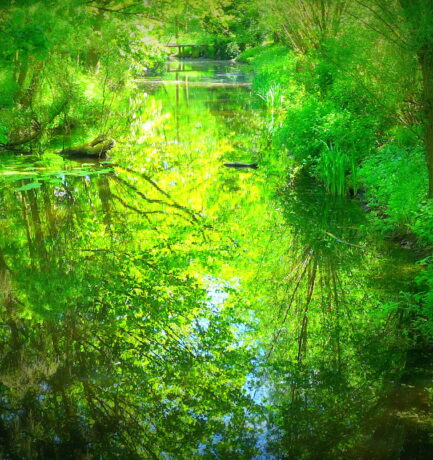 <strong>Undine   Oder   Tatenloses Warten im Wald</strong>