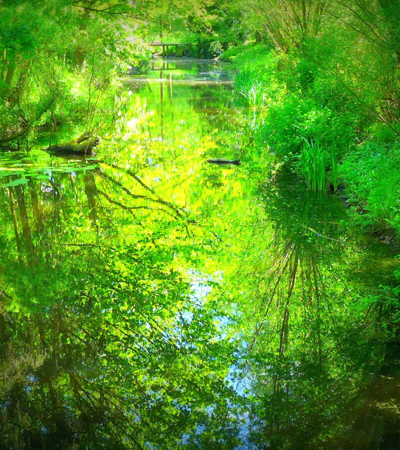 <strong>Undine   Oder   Tatenloses Warten im Wald</strong>