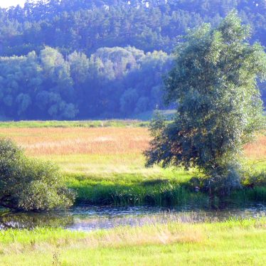 Erinnern heißt auswählen.