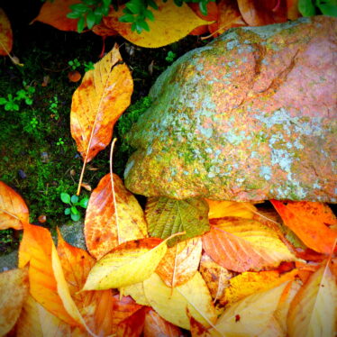 <strong>Mensch und Natur treiben‘s jetzt bunt</strong>