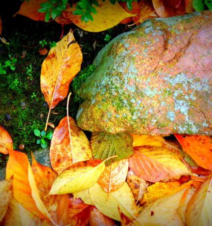 <strong>Mensch und Natur treiben‘s jetzt bunt</strong>