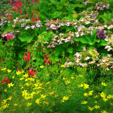 Treib es im Herbst doch bunt !