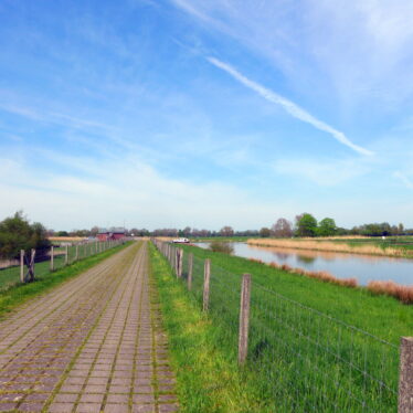 Auf einem geraden Weg wächst wenig Gras!