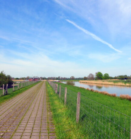 Auf einem geraden Weg wächst wenig Gras!