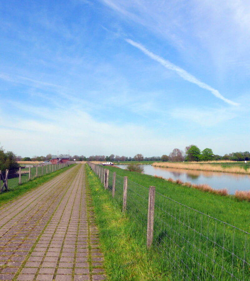 Auf einem geraden Weg wächst wenig Gras!