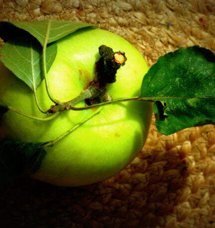 One apple a day keeps the doctor away