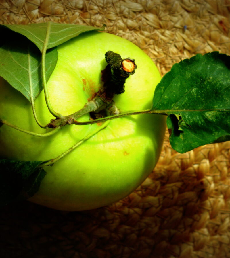 One apple a day keeps the doctor away
