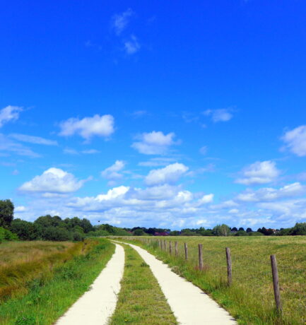 Mensch und Natur sind eins