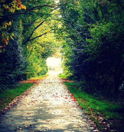 Gestaltung, Umgestaltung, des ewigen Sinnes ewige Unterhaltung