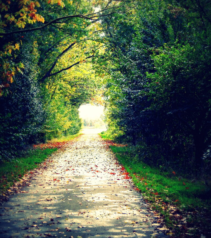 Gestaltung, Umgestaltung, des ewigen Sinnes ewige Unterhaltung