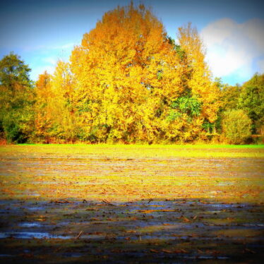 Dankbarkeit kostet nichts, tut Menschen aber gut!