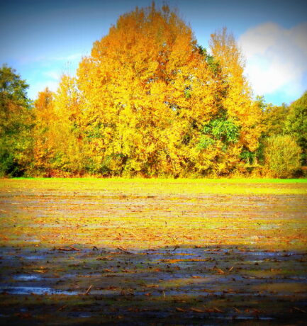 Dankbarkeit kostet nichts, tut Menschen aber gut!
