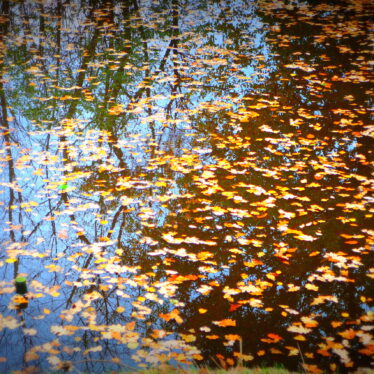 Man müsste Nähen können!