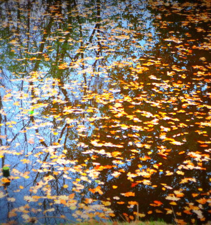 Manchmal müsste man Nähen können!