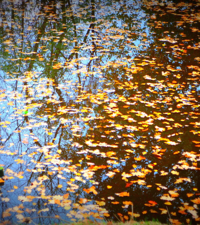 Manchmal müsste man Nähen können!