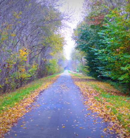 Wie der Beginn, so das Ende